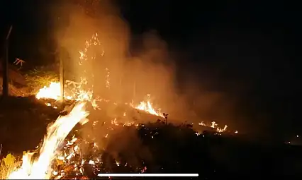 İki ayrı bölgede yangın: İtfaiye ekipleri devrede! 