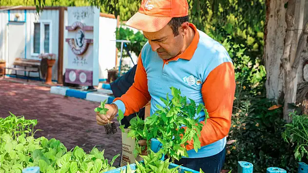 13. Tohum Takas Şenliği başlıyor! 500 bin fide ücretsiz dağıtılacak