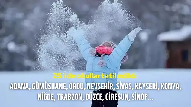 25 ilde okullar tatil edildi: Adana, Gümüşhane, Ordu, Nevşehir, Sivas, Kayseri, Konya, Niğde, Trabzon, Düzce, Giresun, Sinop...