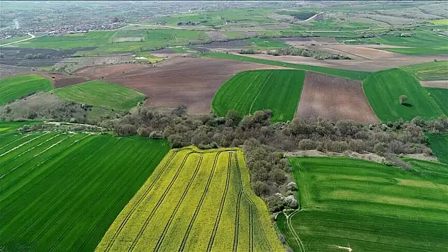 2B arazilerinde tapu süreci başladı: 2B arazisi nedir, kimler alabilir? 2B arazisinden kimler faydalanacak?