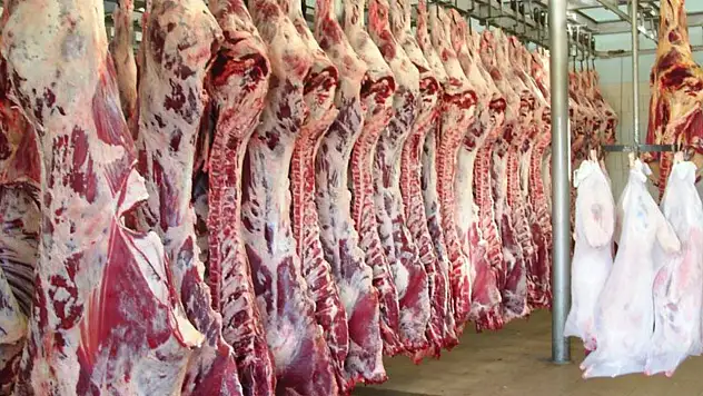 4 Mayıs haftasında kesim fiyatları sabit kaldı: İnek, dana ve düvede değişiklik yok
