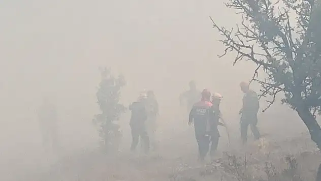 Bolu'da orman yangını yeniden başladı