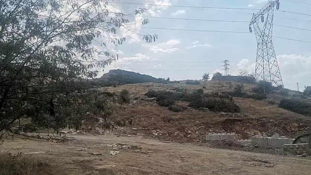 Bornova’da şaşırtan olay… Köpekler buldu!