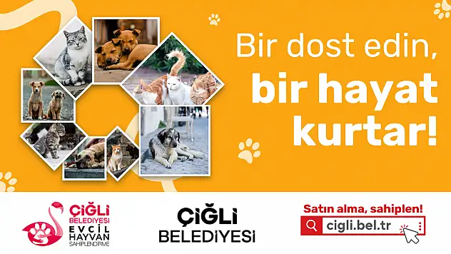 Can dostlar yuvasız kalmasın diye