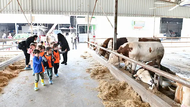 Çiğli'de çocuklar için doğa ve hayvanlarla dolu renkli gün