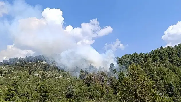 Denizli'deki yıldırım yangına sebep oldu