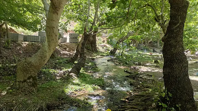 Doğa severlerin gözdesi Kınalı Vadisi yenileniyor