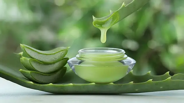 Doğal mucize! Bu bitki saçları baştan yaratıyor!