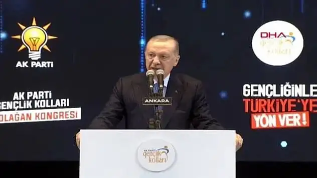 Erdoğan'dan kritik açıklamalar: Ak gençlik vandallık yapmaz!