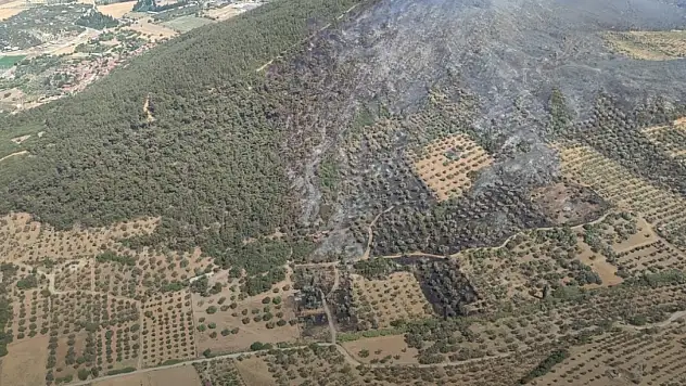 Foça'daki yangın kontrol altında: 4 gözaltı