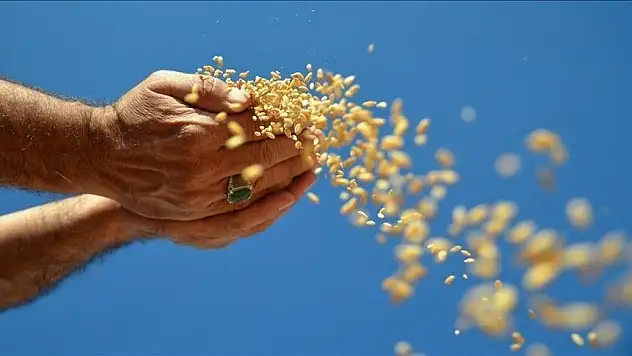 Gıda krizine karşı alternatif