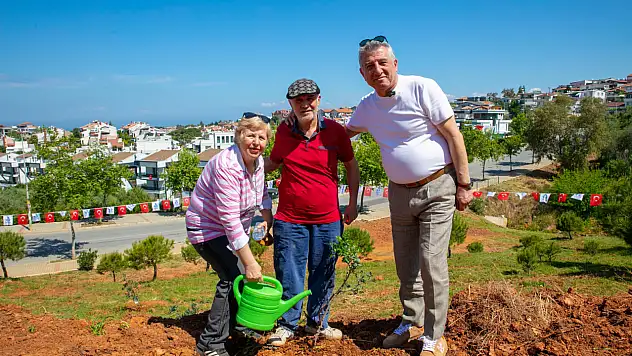 Güzelbahçe'de 500 sakız ağacı toprakla buluştu