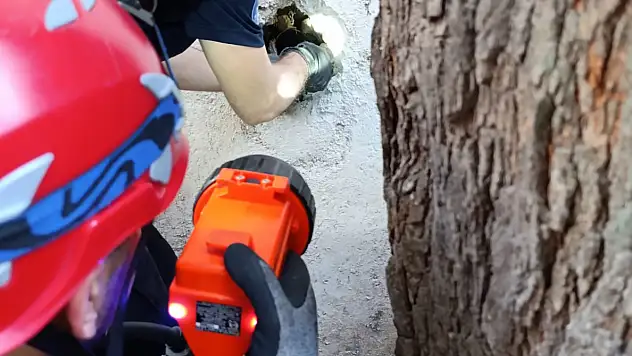 İzmir'de ekipler nefeslerini tuttu… Dakikalar süren operasyon böyle bitti!