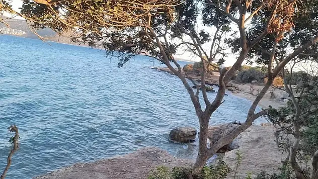 İzmir'in saklı huzur adası: Bu koyda sessizliğe ve denizaltı cennetine yolculuk yapacaksınız!