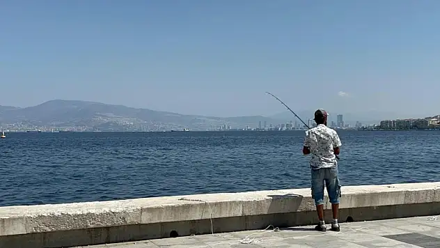 İzmir Körfezi'nde 'ölü balık' avı: Muhtar'dan uyarı afişi