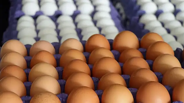 Kahverengi yumurtalar marketlerden siliniyor: Renk değil verim kararı belirleyici oldu