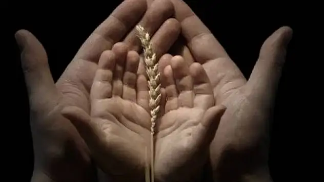 Karınca Duası ile bolluk çağırın! Okunuşu ve anlamı