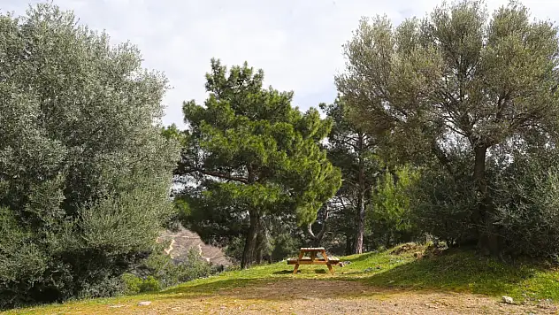 Karşıyaka'da piknik alanı yeni sezona hazır