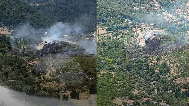 Kemalpaşa'daki ormanlık alanda korkutan yangın!