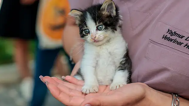 Konak'ta can dostlara yeni ev
