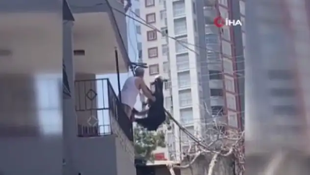 Kurbanlık keçi damdan atlayınca elektrik tellerine takıldı