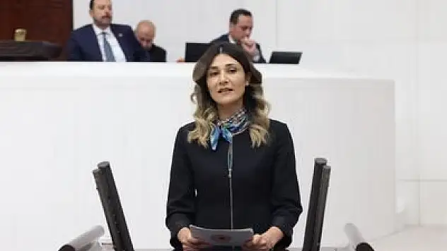 Milletvekili Nejla Demir paylaştı: İzmir Ege Denizi çevre sorunuyla karşı karşıya…