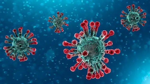 Prof. Dr. Özlü'den 'A (H5N2)' açıklaması