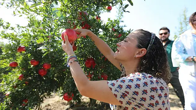 Selçuk narı ile de tanınacak