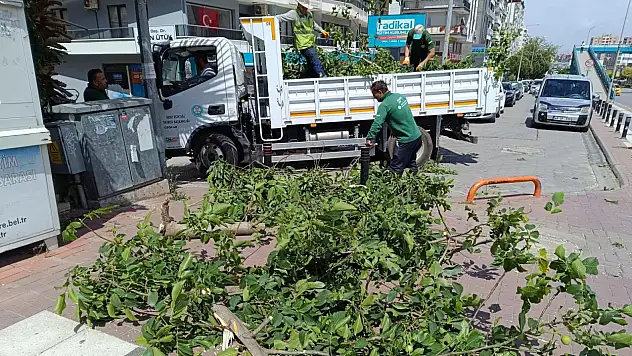 Şiddetli fırtınanın ardından ekipler seferber oldu!