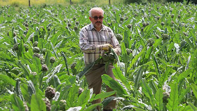 Siparişler Şubat'ta başlıyor, göbeği anında kapılıyor!