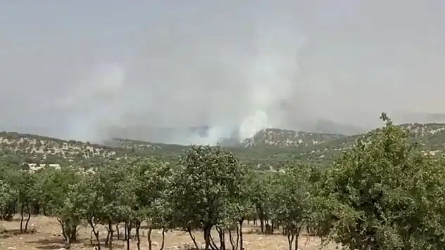 Son dakika! Ormanlık alanda yangın çıktı