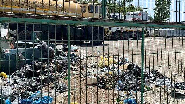Temizlikten sorumlu müdürlük çöplüğe döndü!