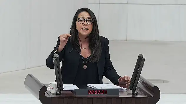Türkiye İşçi Partisi Sözcüsü Sera Kadıgil kimdir?
