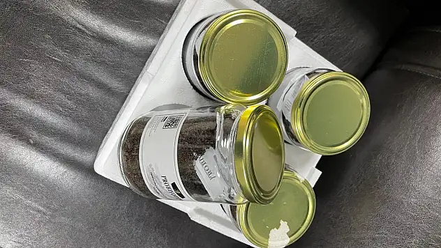 Türkiye'nin ilk probiyotikli çayı Rize'de üretildi