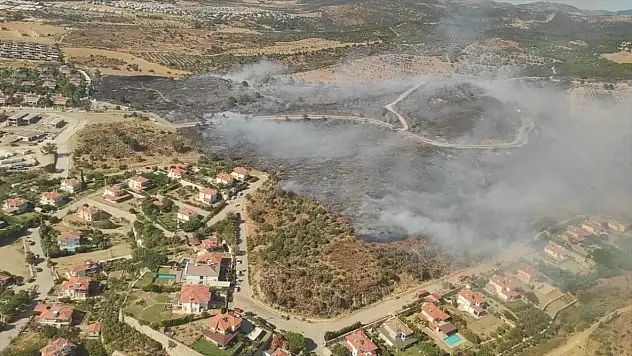 Urla'da orman yangını