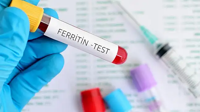 Ferritin nedir? Ferritin seviyesi nasıl olmalı? Yüksekliği ve düşüklüğü sağlığınızı nasıl etkiler?