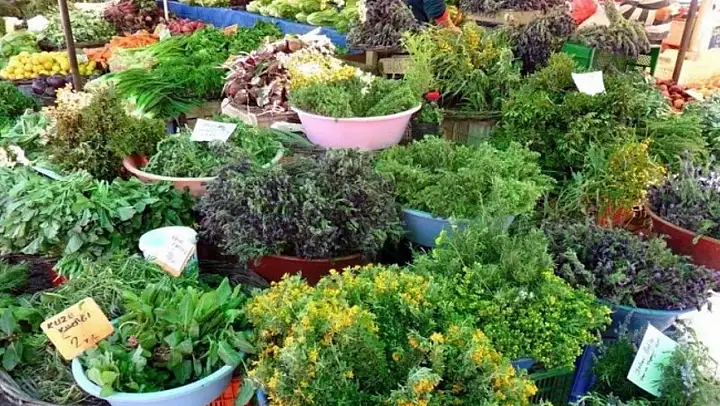 Urla, geleneksel Mart Dokuzu Urla Ot Bayramı ile baharı karşılayacak