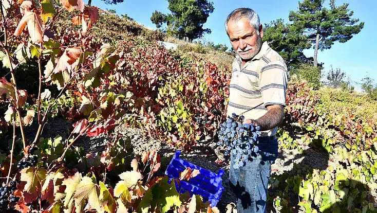 İzmir Büyükşehir Belediyesi'nden şaşırtan yardım!