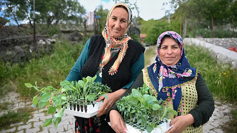 Bornova'da üreticilere yeşil destek: 400 bin fide ücretsiz dağıtılıyor